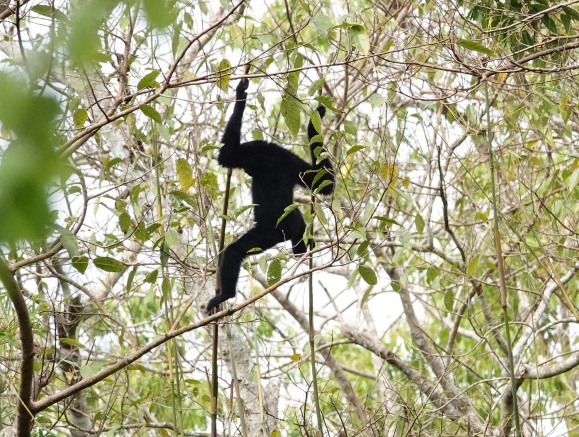 Thuy Tien Ecolodge กั๊ตเตียน ภายนอก รูปภาพ