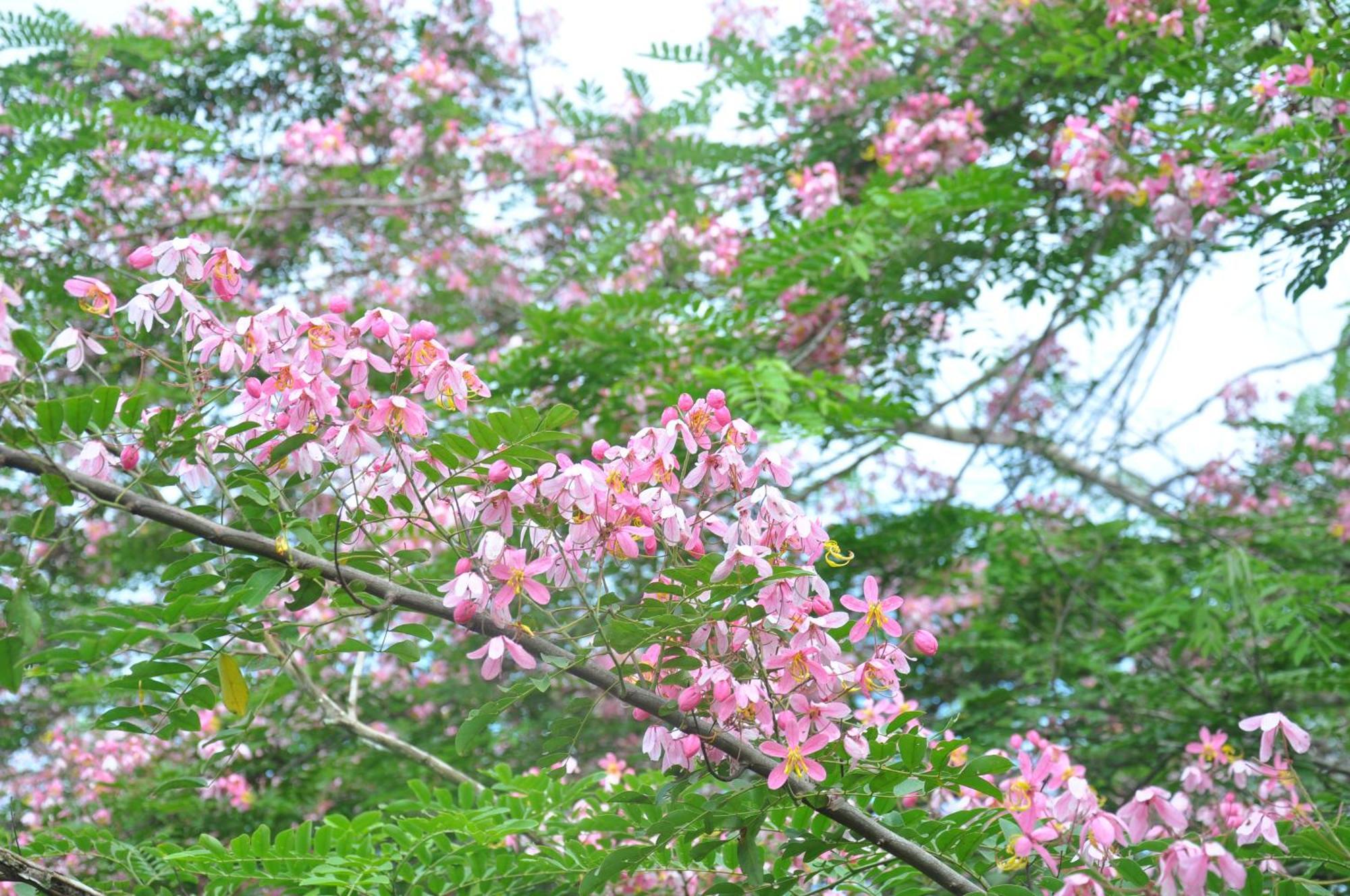 Thuy Tien Ecolodge กั๊ตเตียน ภายนอก รูปภาพ